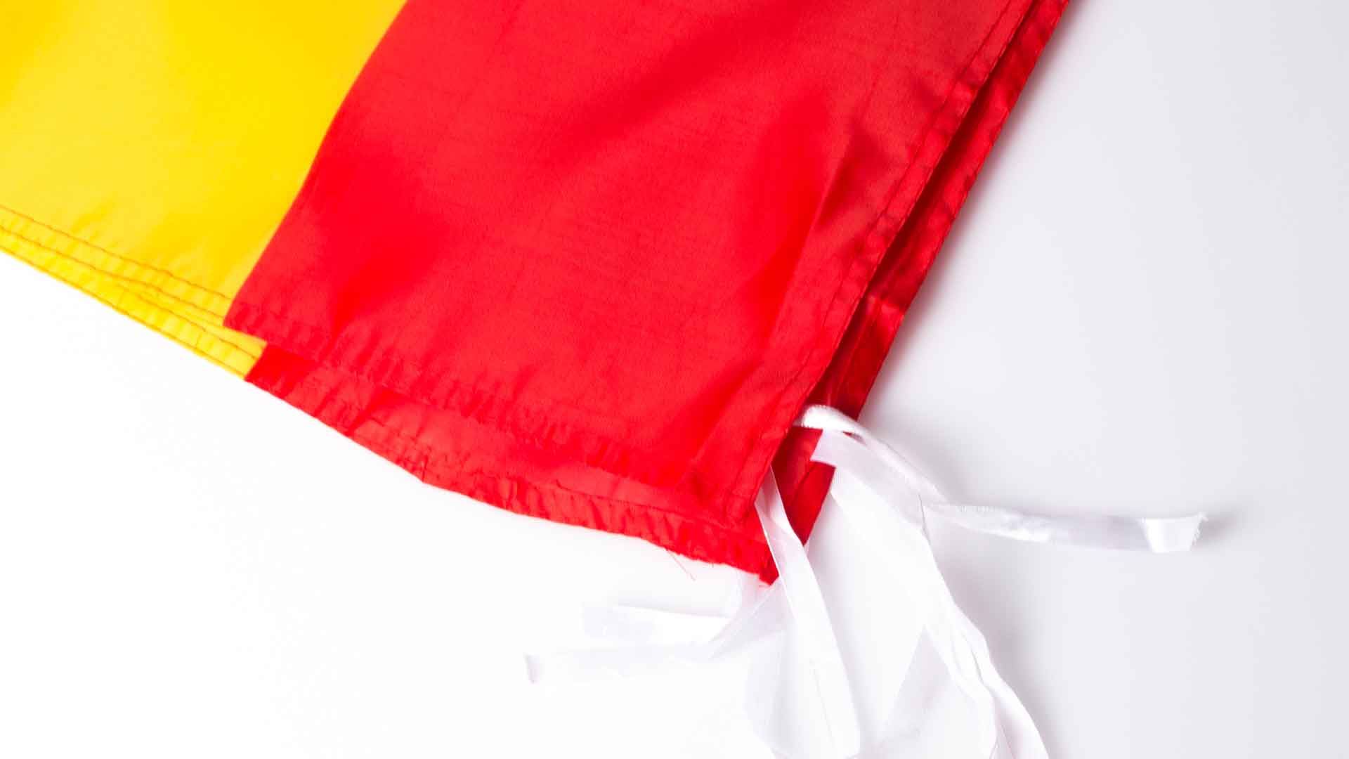 Miniature 3 pour Drapeau Cojeco - personnalisable