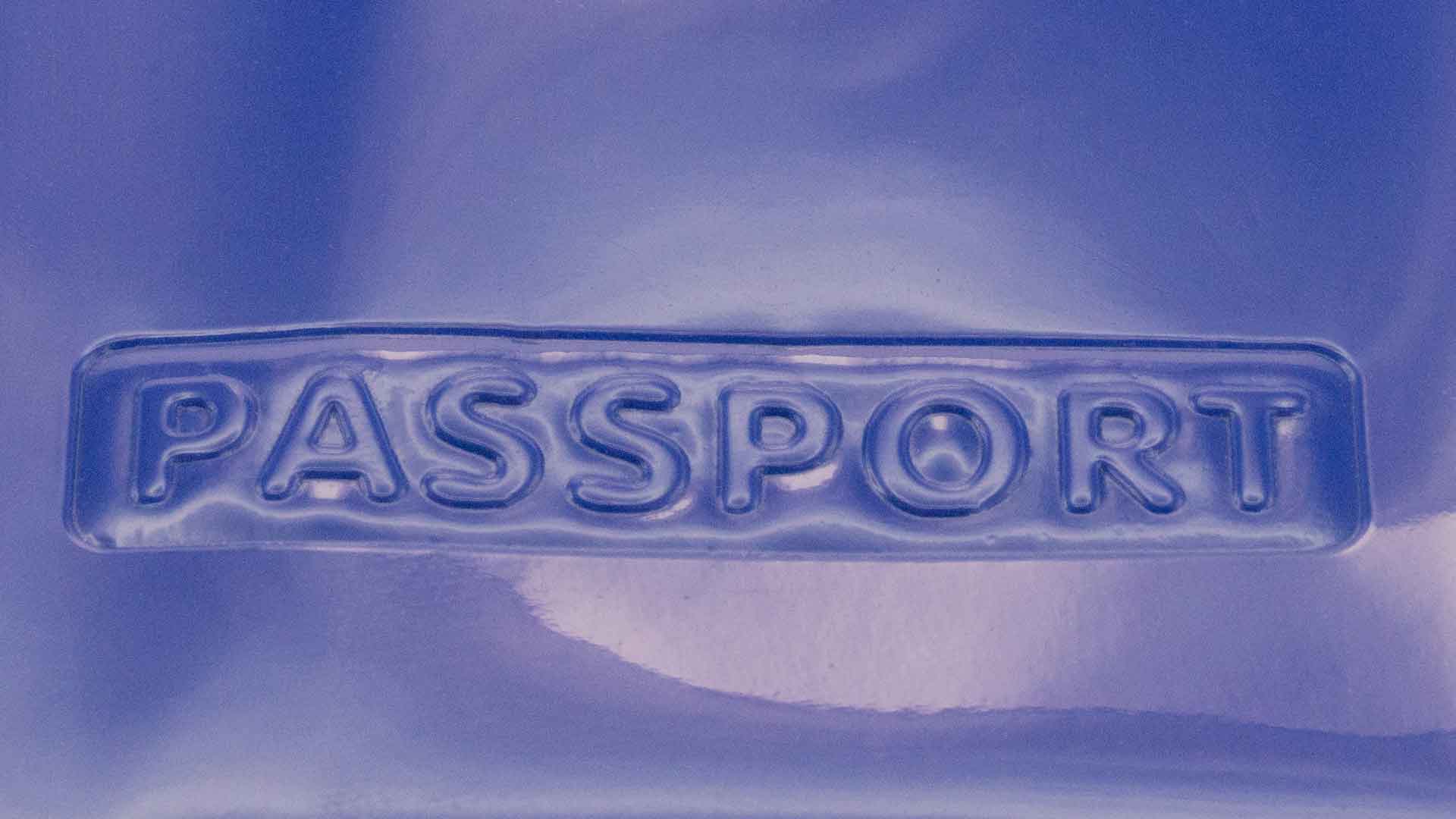 Miniature 4 pour Étui Passeport Lehufiwu - personnalisable
