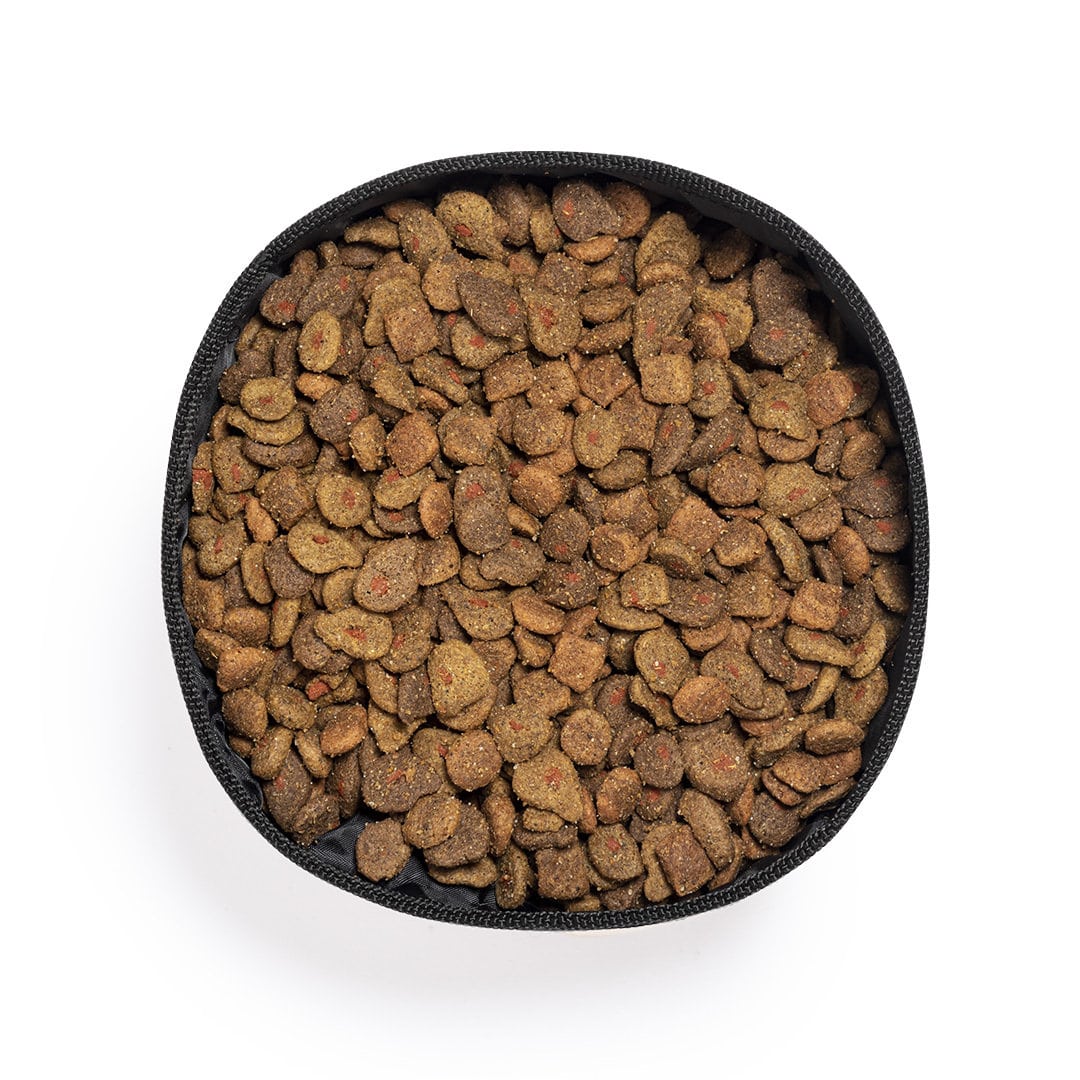 Miniature 2 pour Bol Pliable Tavobapa - personnalisable