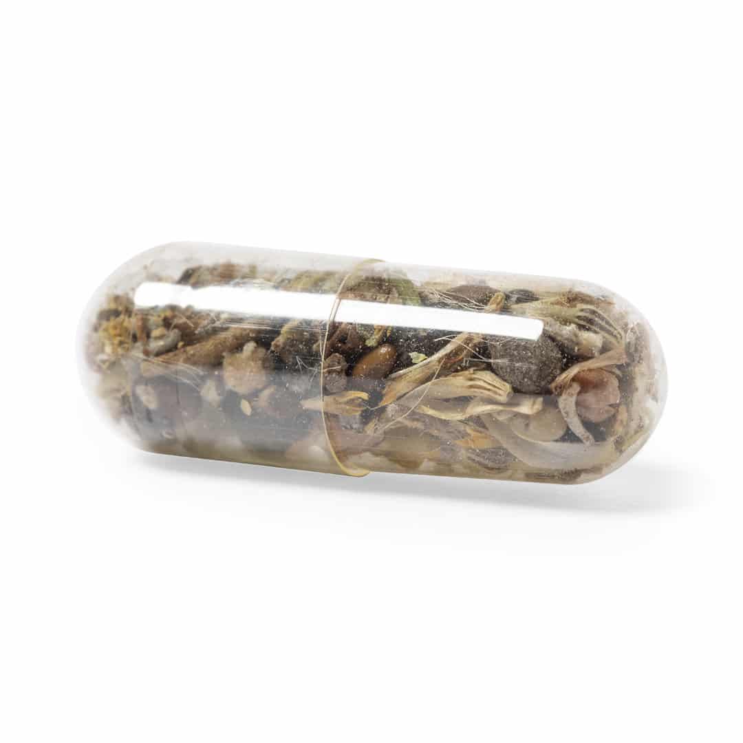 Miniature 4 pour Capsule de Graine Hevi - personnalisable