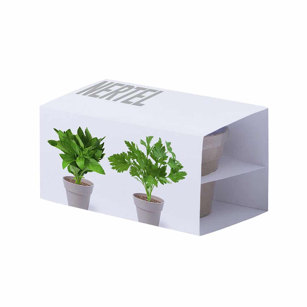 Miniature 4 pour Set Pot de Fleurs Hinunudu - personnalisable