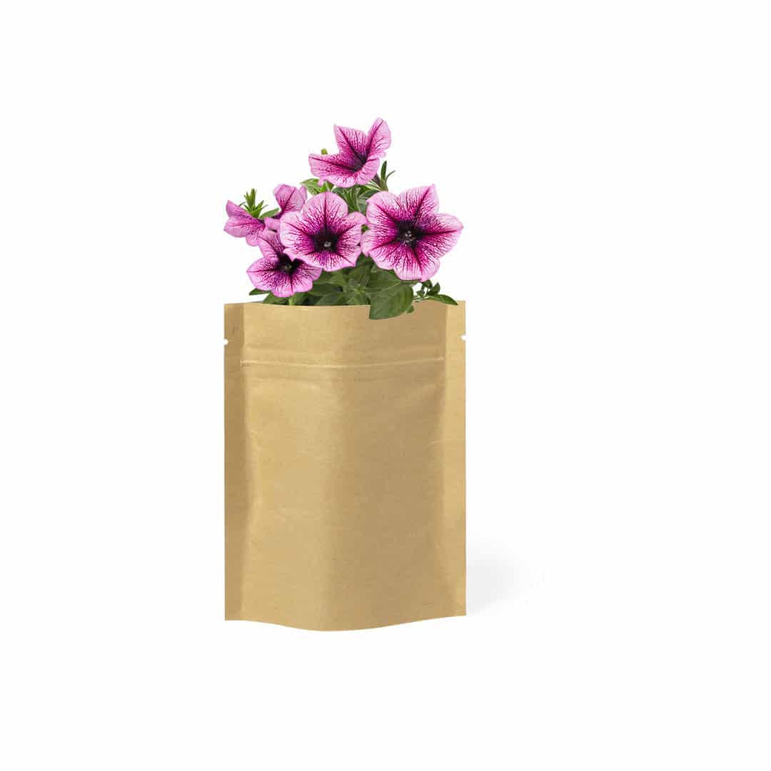Miniature 3 pour Pot de Fleurs Goruvo - personnalisable