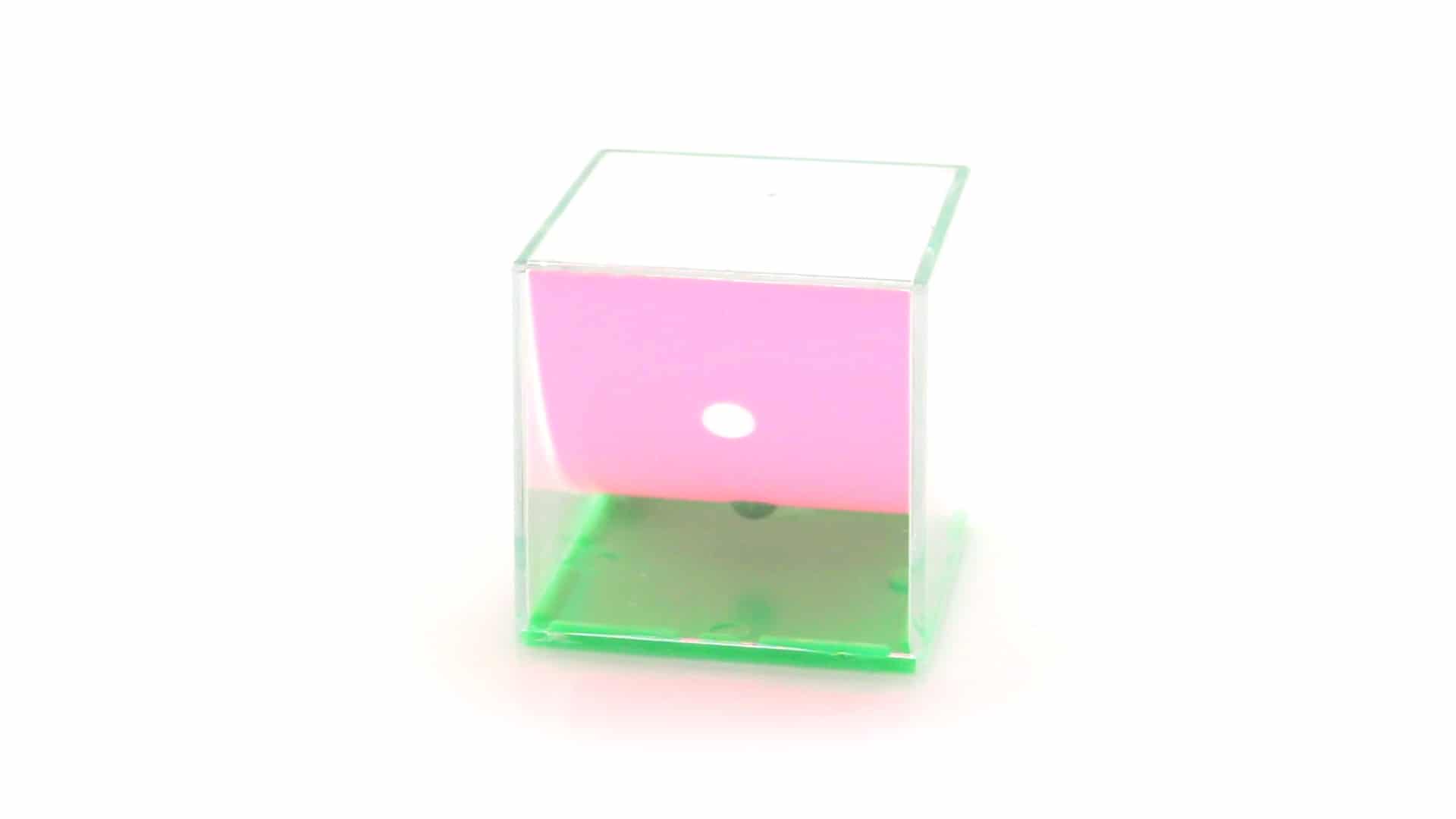 Miniature 5 pour Jeux d´Habilitées Ximosa - personnalisable