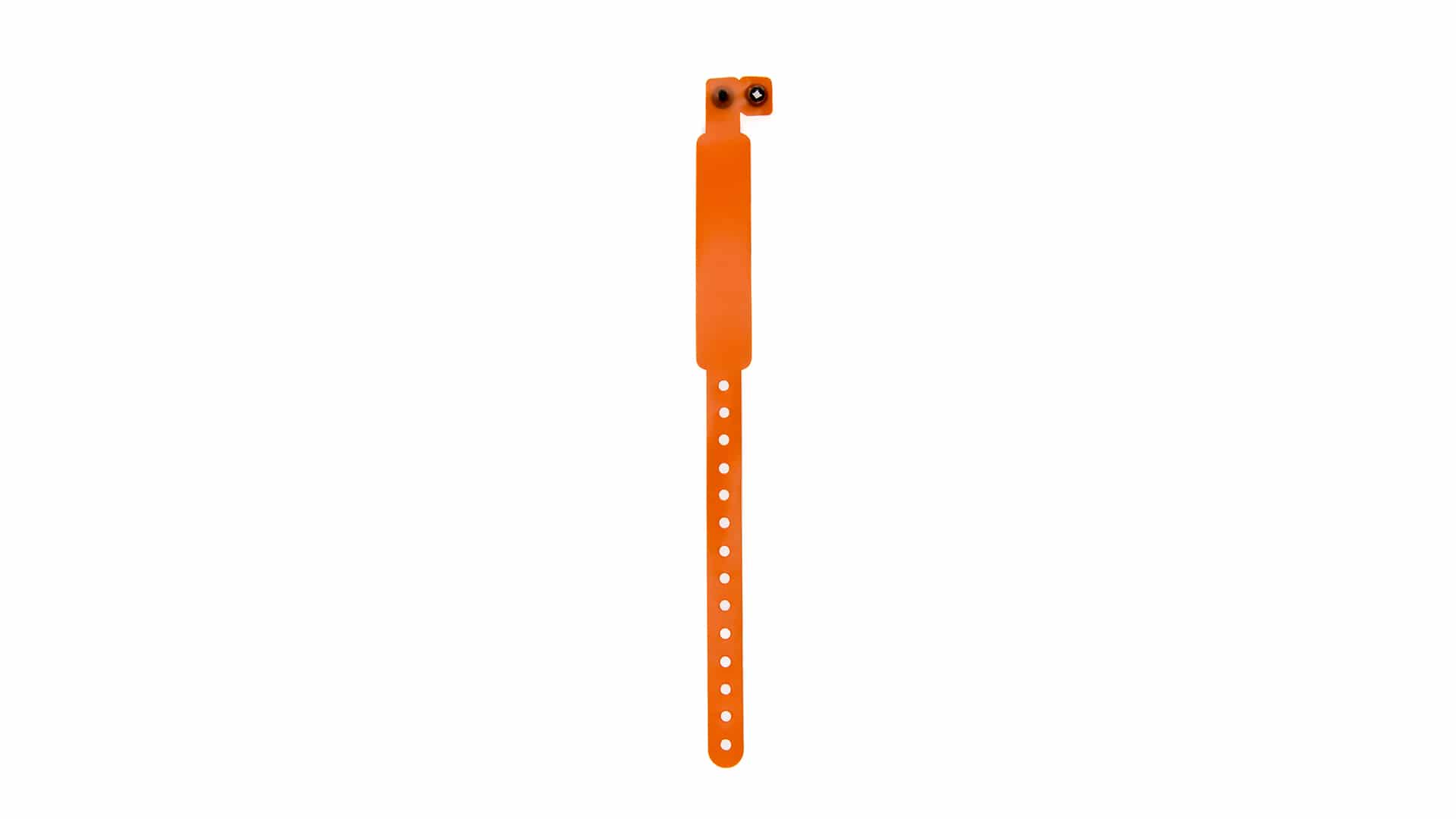Miniature 3 pour Bracelet Hegewune - personnalisable