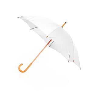 Visuel Parapluie Vovisege - personnalisable