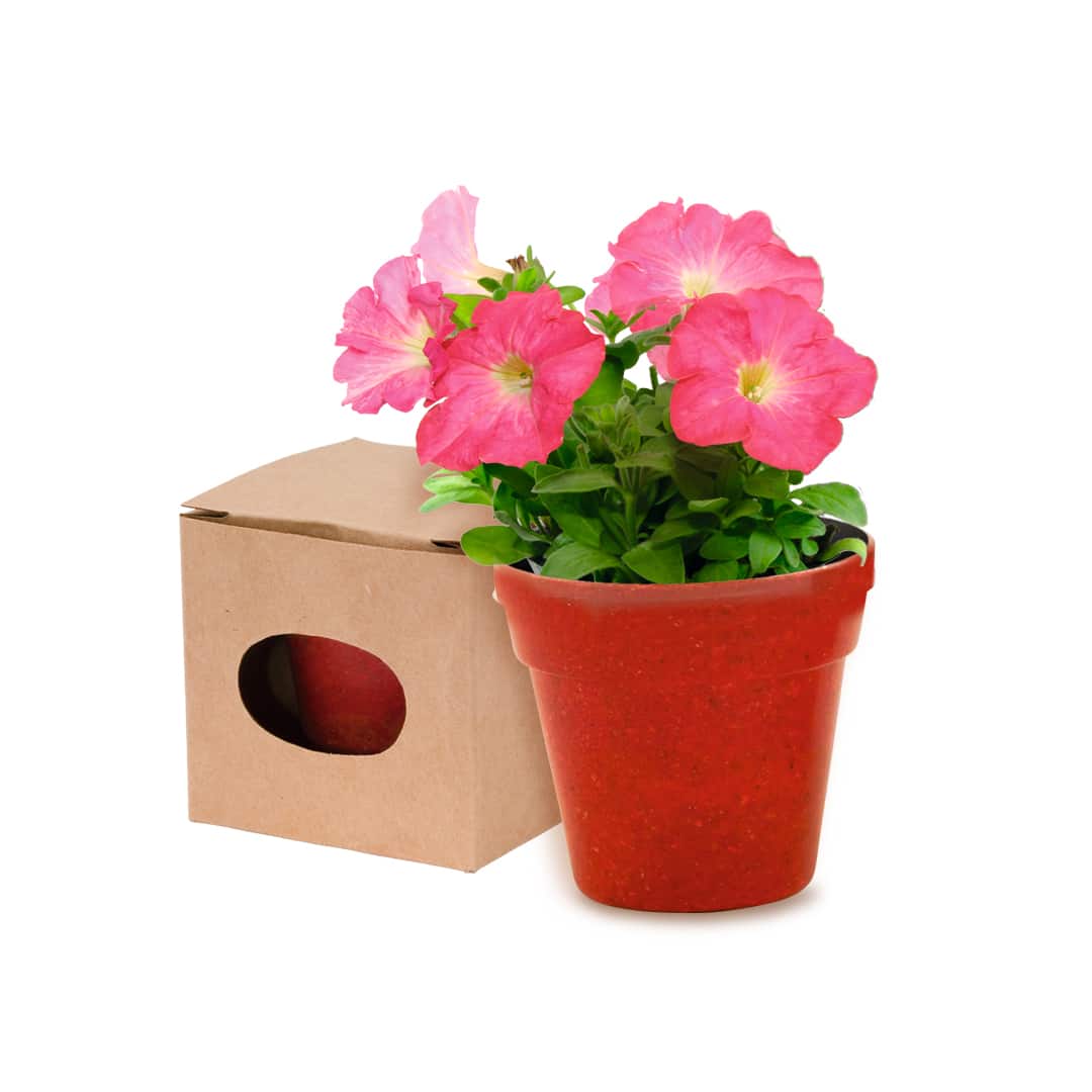 Miniature 5 pour Tubibata - personnalisable