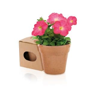 Visuel Tubibata - personnalisable