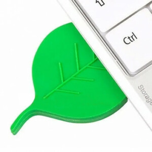 Visuel Cle USB Feuille