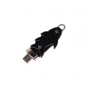 Visuel Cle USB Cuir Poisson