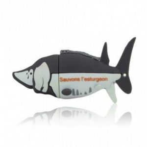 Visuel Cle USB Esturgeon
