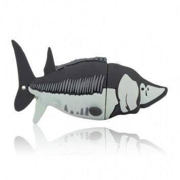 Miniature 2 pour Cle USB Esturgeon