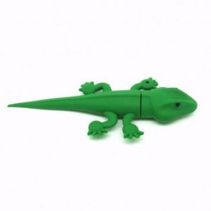 Visuel Cle USB Gecko