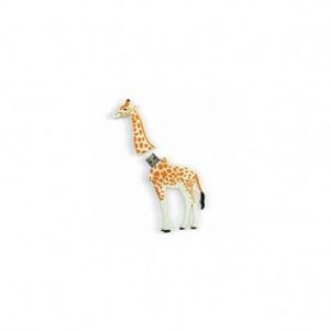 Visuel Cle USB Girafe