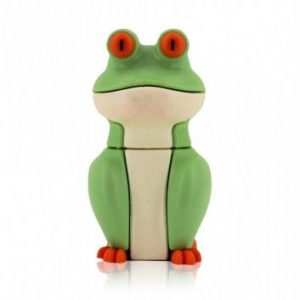 Visuel Cle USB Grenouille