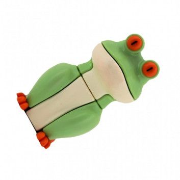 Miniature 10 pour Cle USB Grenouille