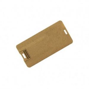 Visuel Cle USB Mini Carte Affaire Biodegradable