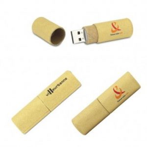 Visuel Cle USB Bois Ecologique