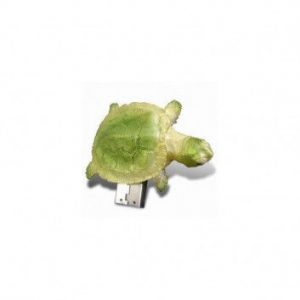 Visuel Cle USB Tortue