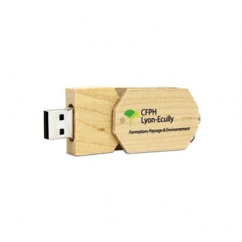 Miniature 4 pour Cle USB Bois Octogone