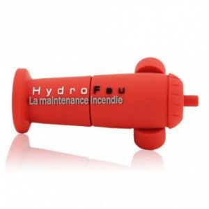 Visuel Cle USB Borne Incendie