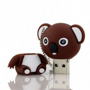 Visuel Cle USB Koala