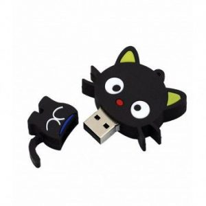 Visuel Cle USB Chat