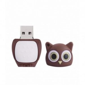 Visuel Clé USB Hiboux