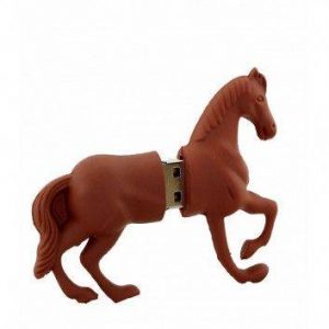 Visuel Clé USB Cheval