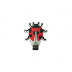 Visuel Cle USB Bug