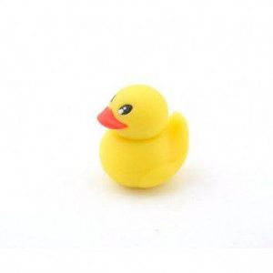 Visuel Clé USB Canard