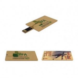 Visuel Cle USB Carte Affaire Biodegradable