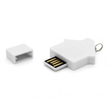 Miniature 16 pour Cle USB Maison Mini