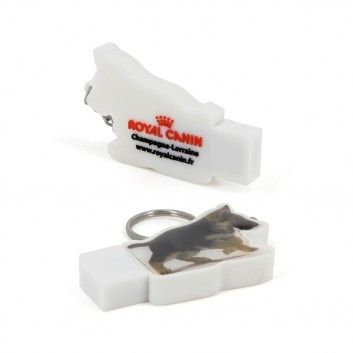 Miniature 2 pour Cle USB Sur Mesure Doming
