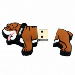 Visuel Cle USB Chien
