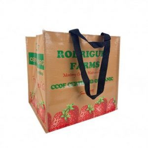 Visuel Sac Cabas Publicitaire Polypropylène Tissé 42 x 32 x 24 - ECO