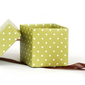 Miniature 1 pour Boite à cloche sur mesure