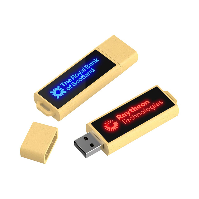 Miniature 1 pour Clé USB Bois LED
