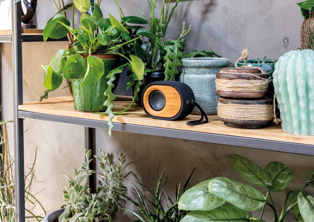 Miniature 11 pour Enceinte Bamboo X