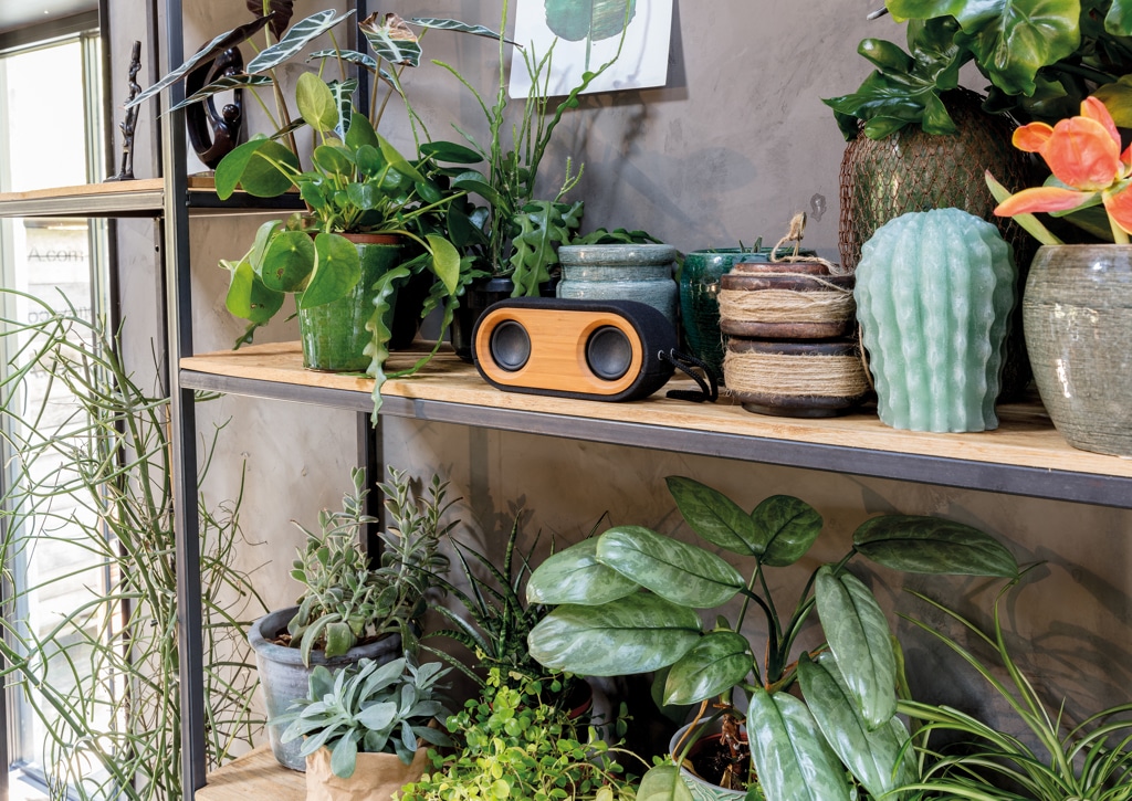 Miniature 11 pour Double enceinte Bamboo X
