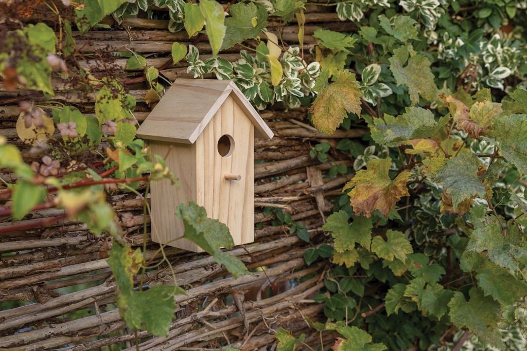 Miniature 10 pour Maison pour oiseaux en bois FSC®