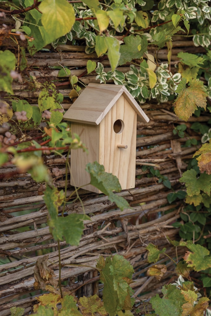 Miniature 11 pour Maison pour oiseaux en bois FSC®