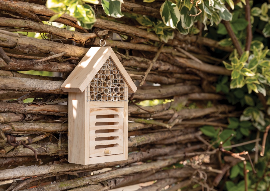 Miniature 6 pour Petit hôtel à insectes