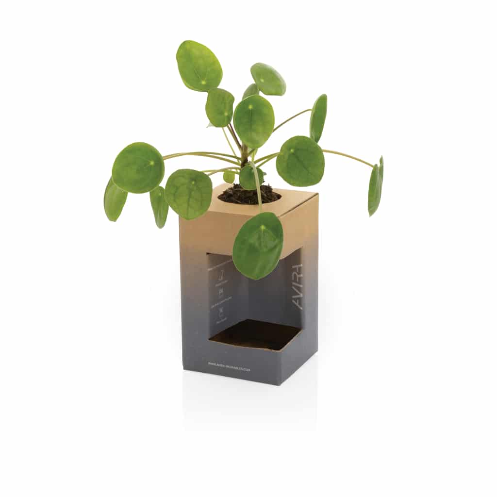 Miniature 18 pour Mug 300ml en acier recyclé RCS Avira Alya