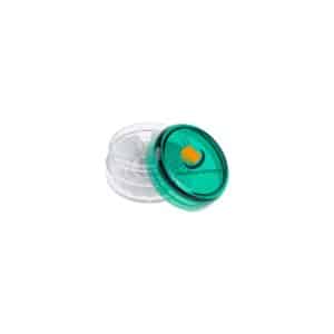 Visuel Mini bocal-Di-FC
