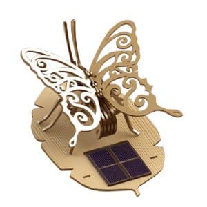 Visuel Papillon