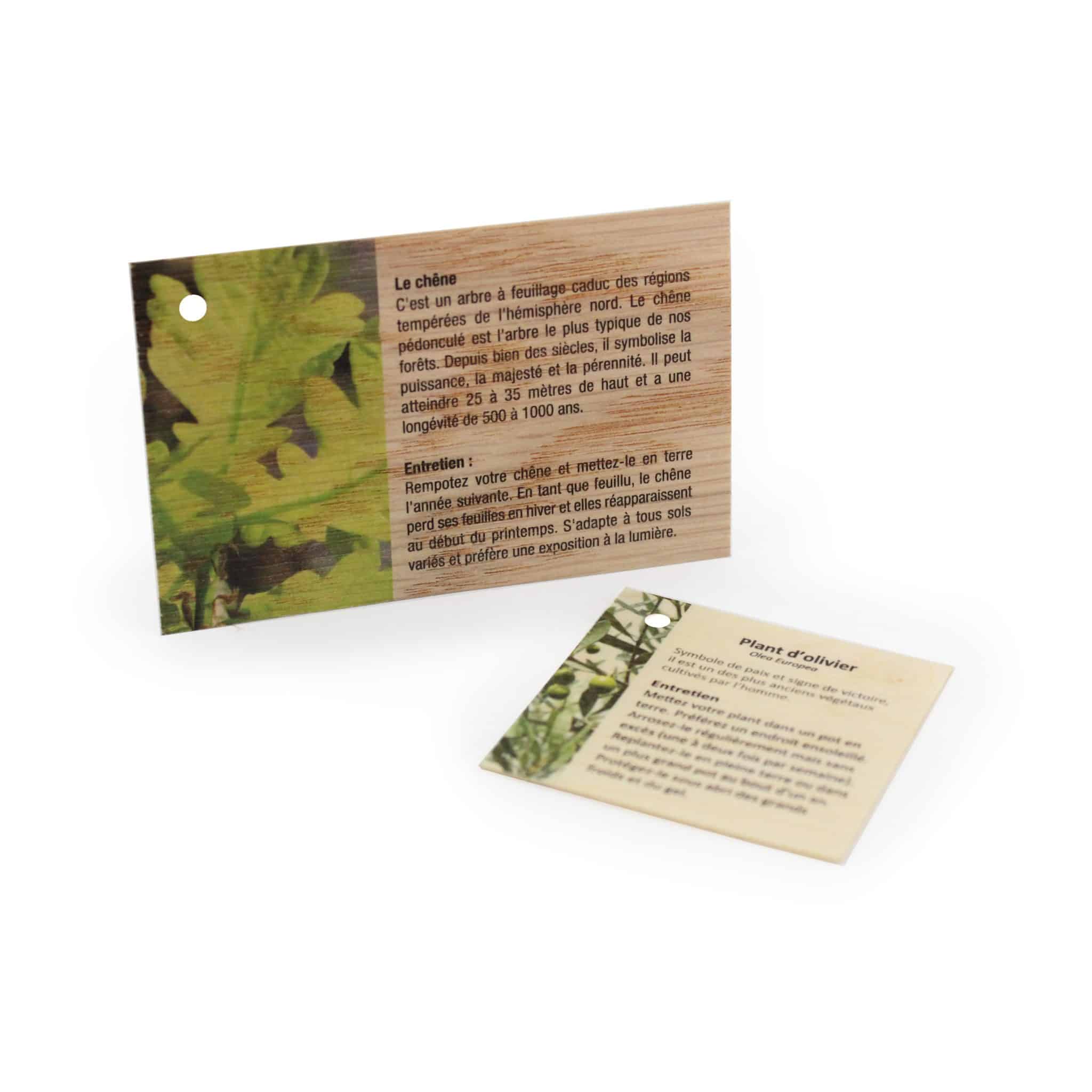Miniature 1 pour Carte Bois 85x54 mm