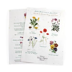 Visuel Tapis de semis 21 x29 cm