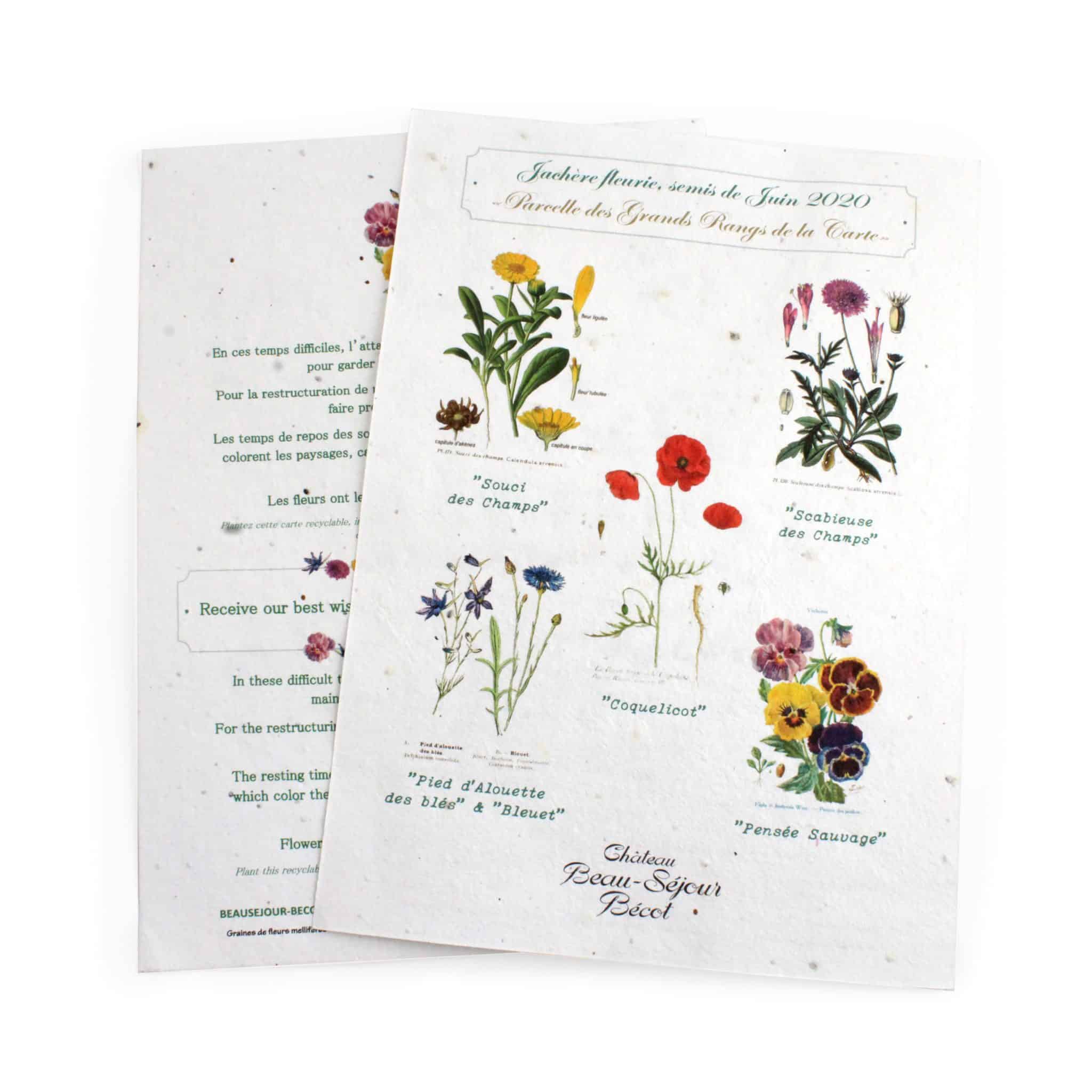 Miniature 1 pour Tapis de semis 21 x29 cm