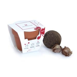 Visuel Kit de plantation terre cuite - Petit modèle pot 6 cm