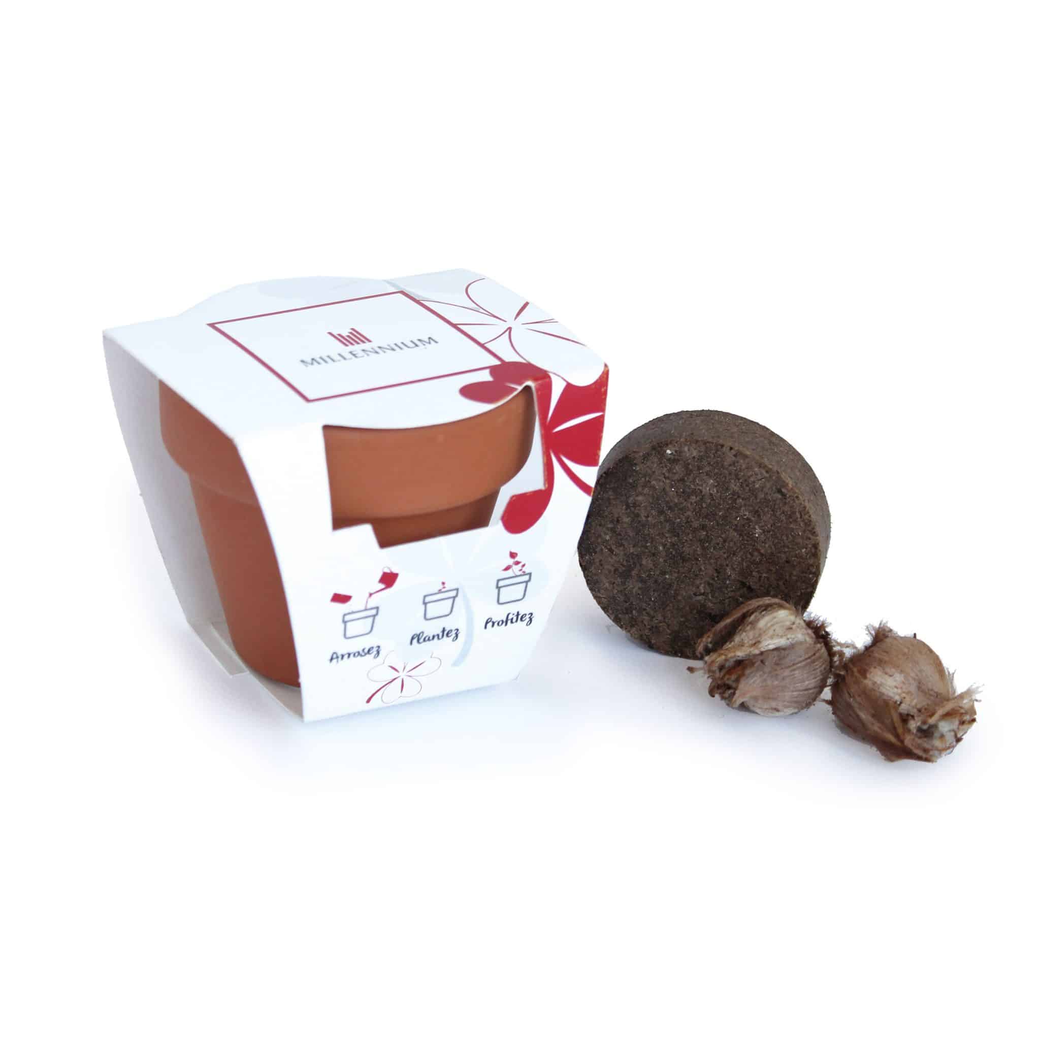 Miniature 1 pour Kit de plantation terre cuite - Petit modèle pot 6 cm
